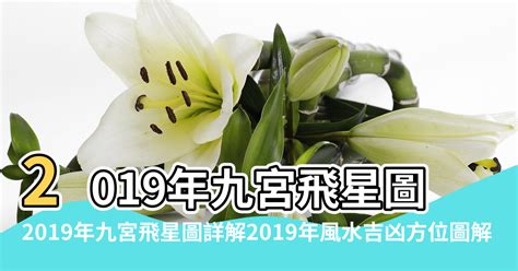 2019九宮飛星